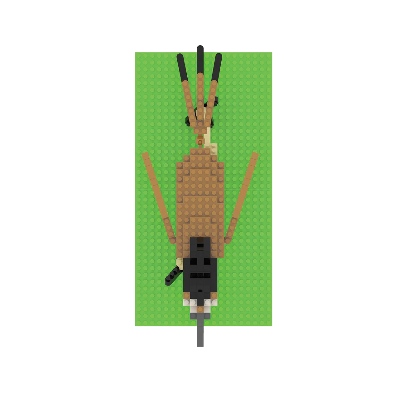 Thumb 3